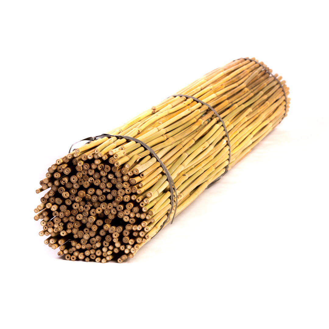 Tyczki bambusowe - 150cm - 10/12mm - 25 sztuk