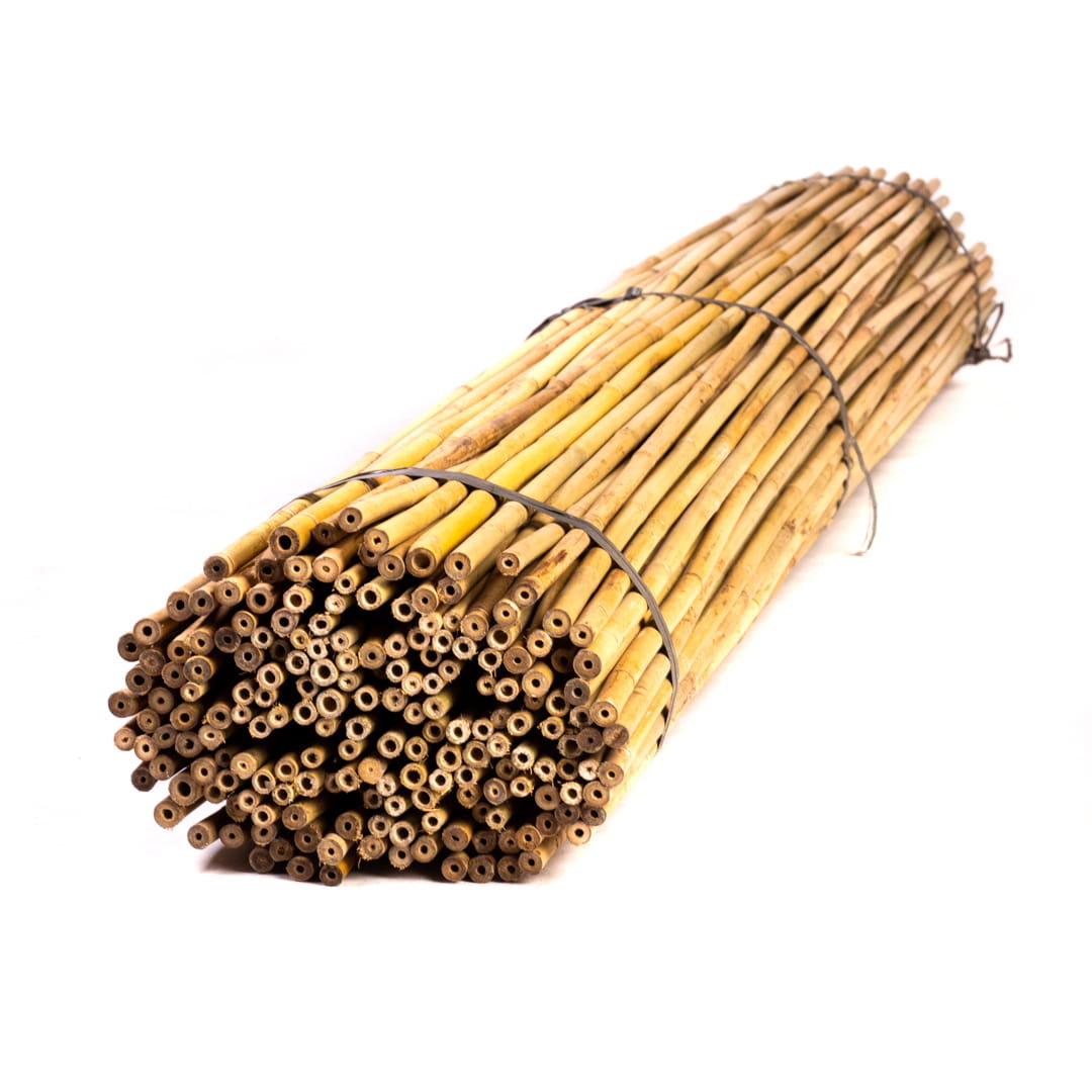 Tyczki bambusowe - 180cm - 10/12mm - 25 sztuk