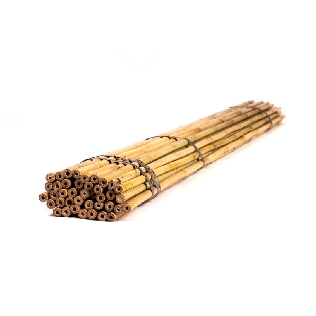 Tyczki bambusowe - 210cm - 16/18mm - 25 sztuk