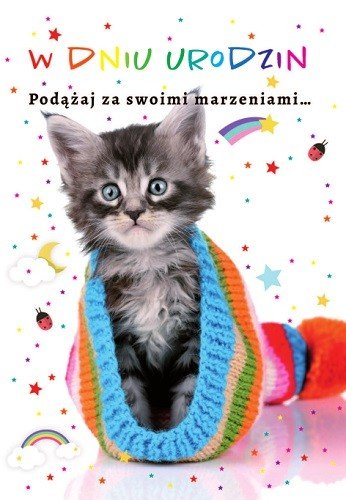 Urodzinowa Kartka z życzeniami zabawna TS9
