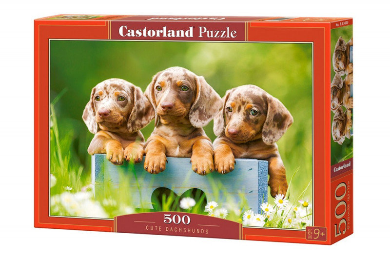 Castorland Puzzle 500 Cute Dachshunds -