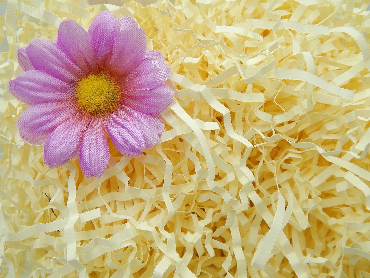 Wypełniacz Naturalny Dekoracyjny 100g Kremowy