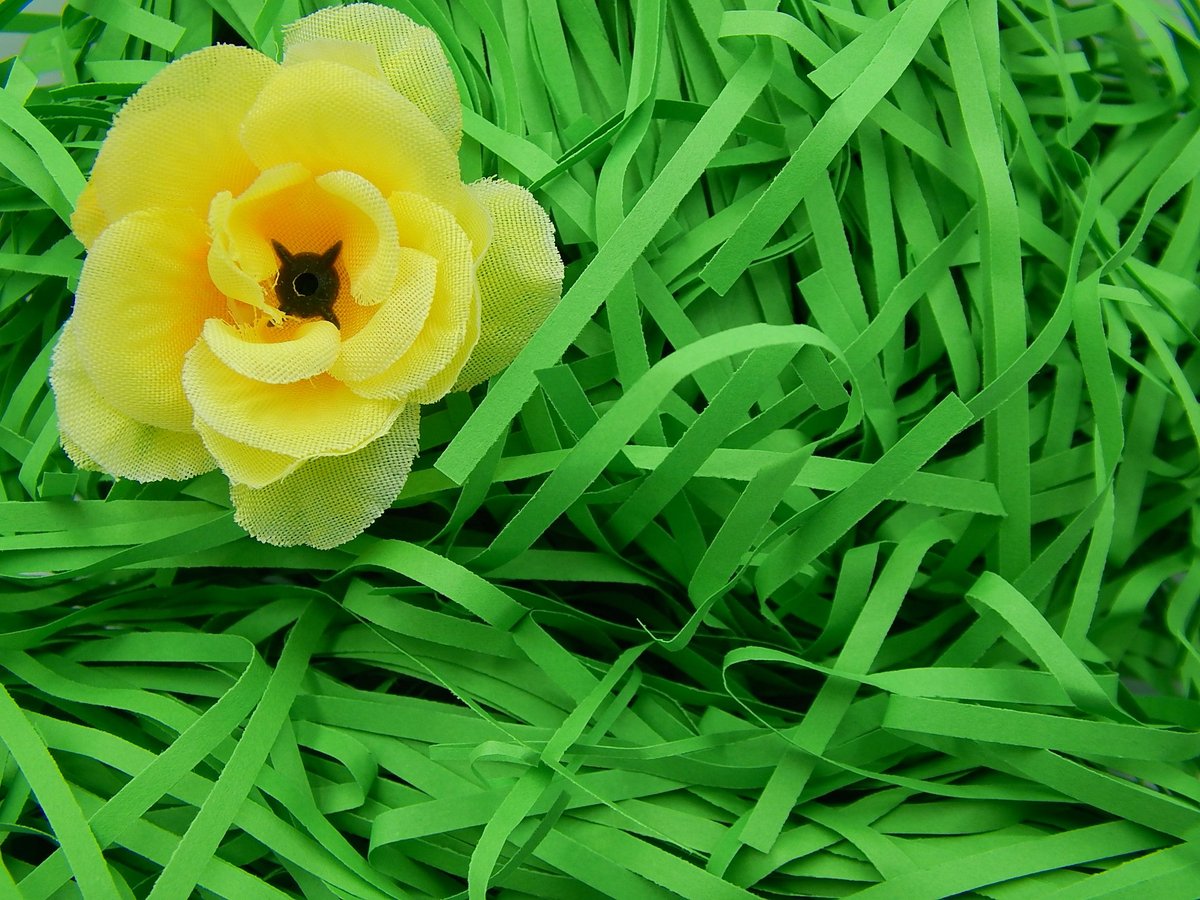 Wypełniacz Dekoracyjny Proste Paski 100g C. Zieleń