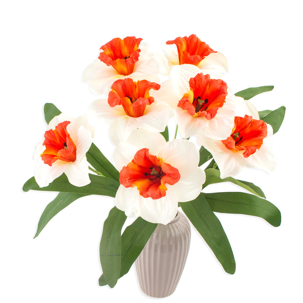 Bukiet Żonkili XXL Kremowo-Pomarańczowy