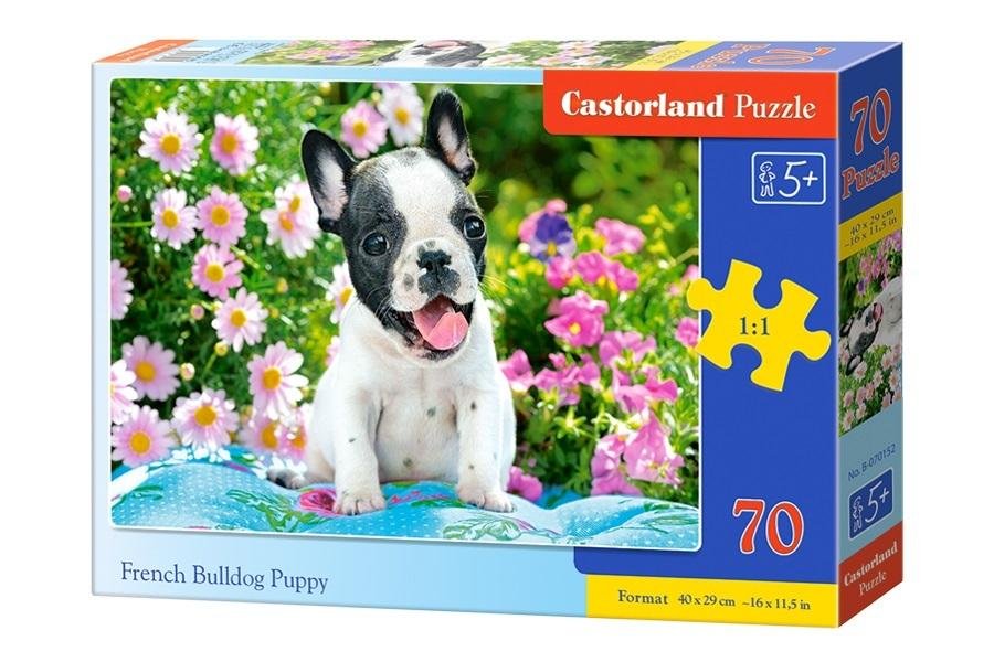 Castorland Puzzle 70 Szczeniak buldoga francuskiego
