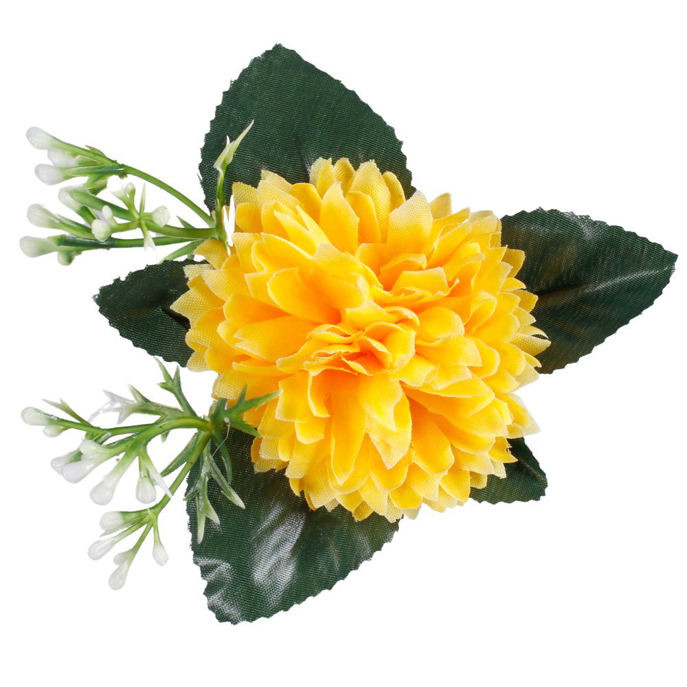 Aster Satynowy Z Listkami Główka Wyrobowa Żółta