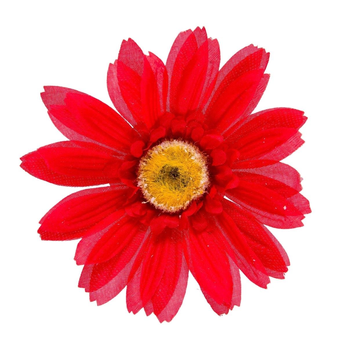 Gerbera Sat. Główka Wyrobowa 1 Szt
