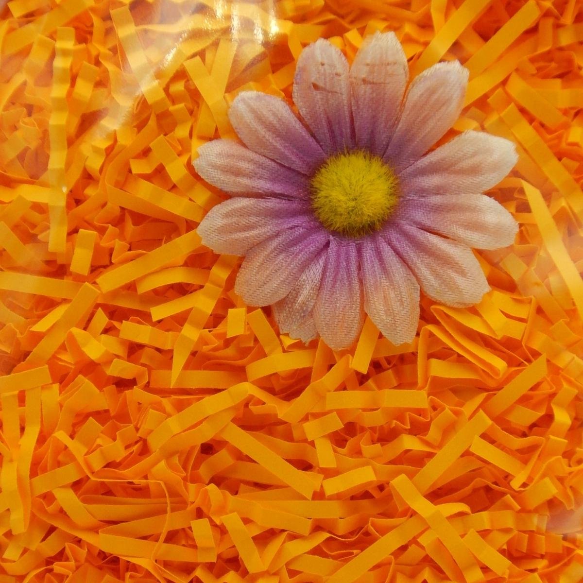 Wypełniacz Naturalny Dekoracyjny 100G J. Pomarańcz