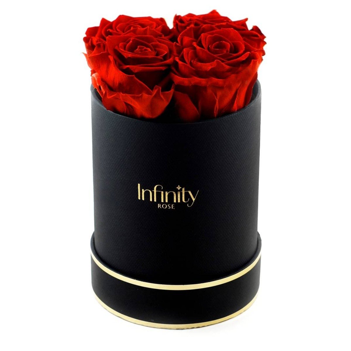 Stabilizowane Czerwone Wieczne Róże Średni Czarny Flower Box Infinity Rose
