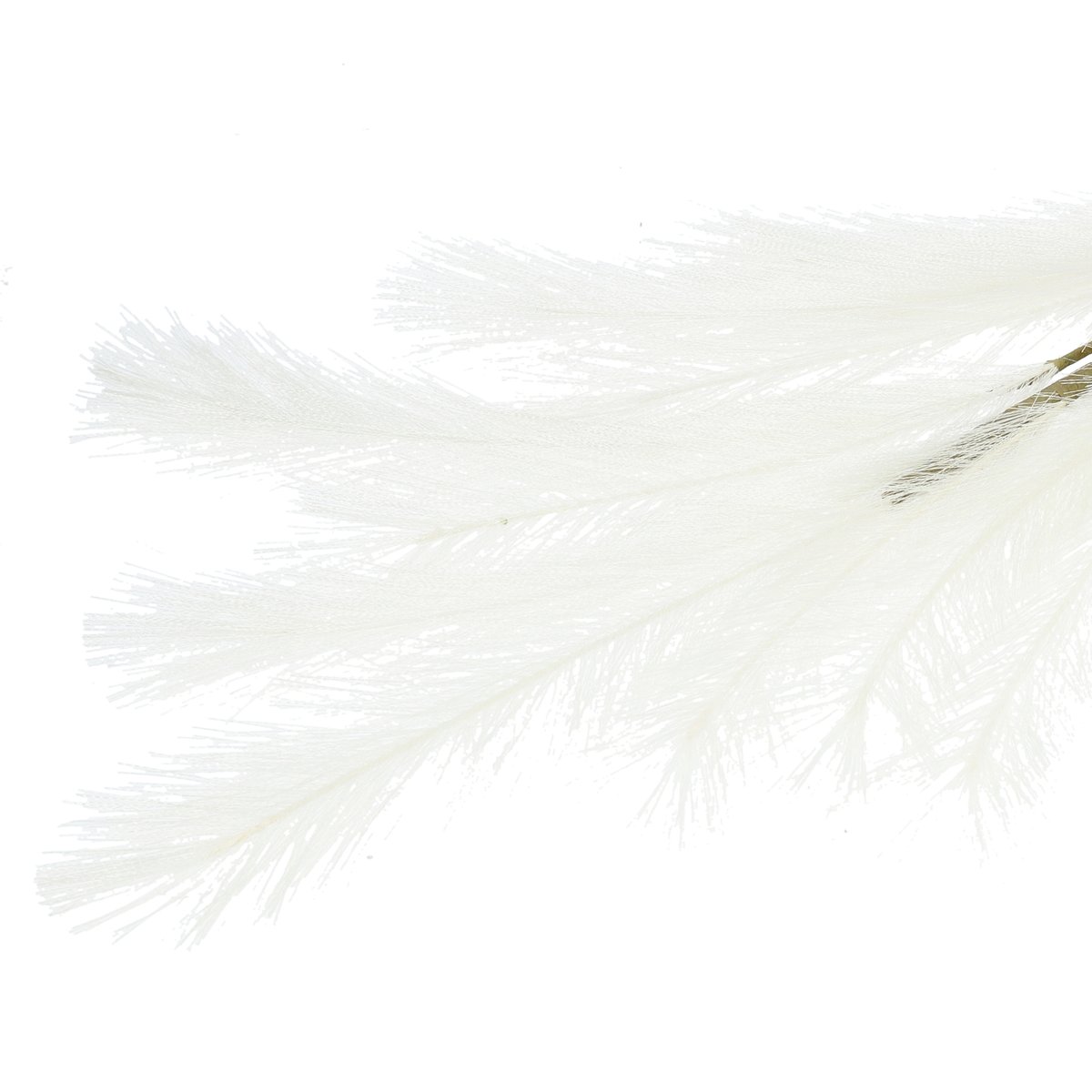 Kwiat Sztuczny Ecru Wysoki Canne 100 Cm Homla