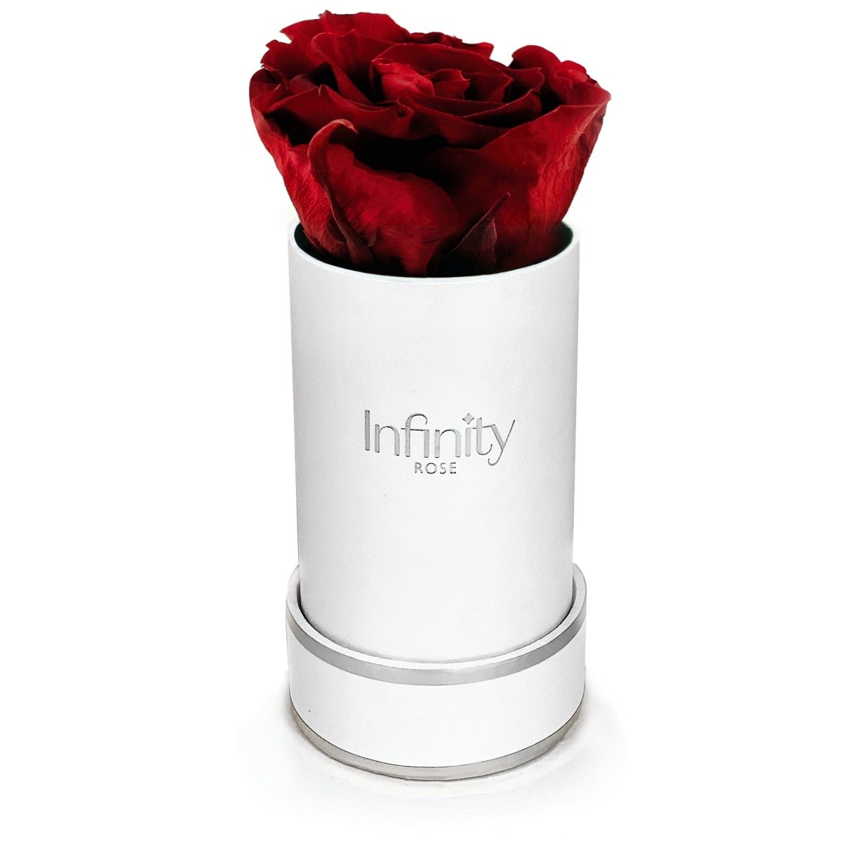 Naturalna Czerwona Wieczna Róża Biały Mini Flower Box Infinity Rose