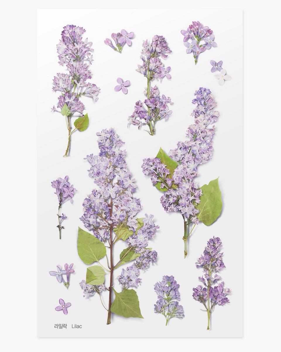 naklejki ozdobne kwiaty bez lilak