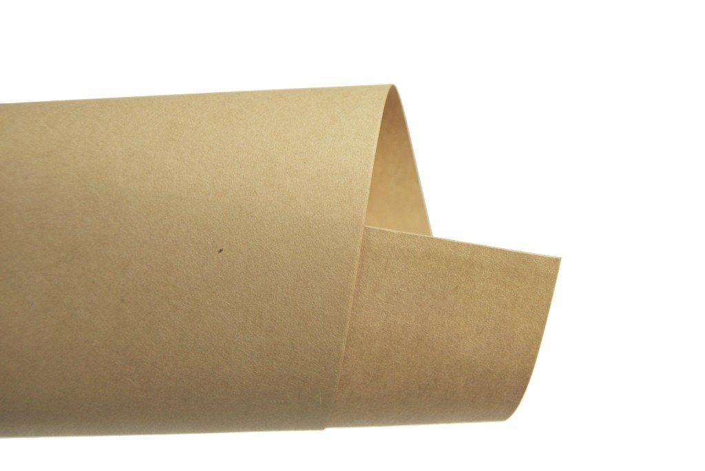 Papier ekologiczny Eko Kraft 100g 100 ark A4