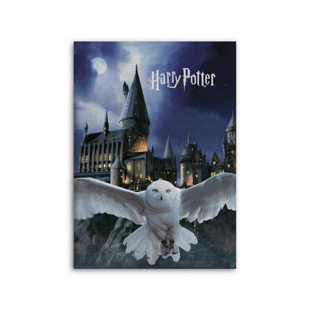 Harry Potter, koc 140x100cm Hedwiga Hogwart, aymax