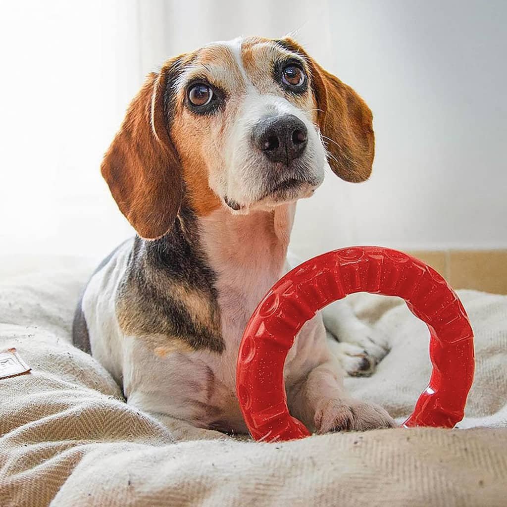 Ferplast Smile pierścień do żucia dla psów, czerwony, rozmiar L, Ø 20 x wys. 3,9 cm| Dostawa i zwrot GRATIS od 99 zł