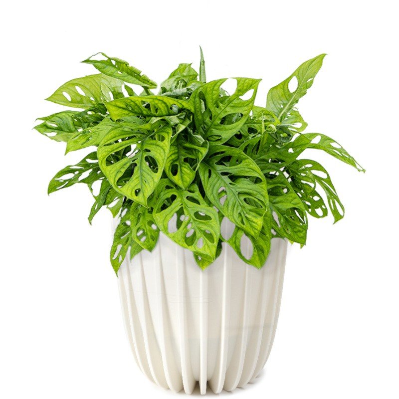 Doniczka plastikowa Mira śr.25 cm kremowa Lamela