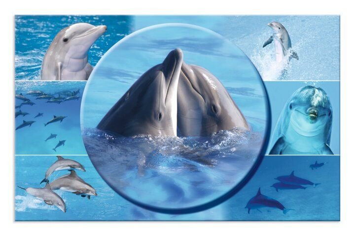 HERMA HERMA 19087 Podkładka na biurko, zwierzęta Delfin, 55 x 35 cm, antypoślizgowa, zmywalna i z obustronnym motywem, podkładka do pisania ze stabilnego kartonu, podkładka na stół dla dzieci 19087