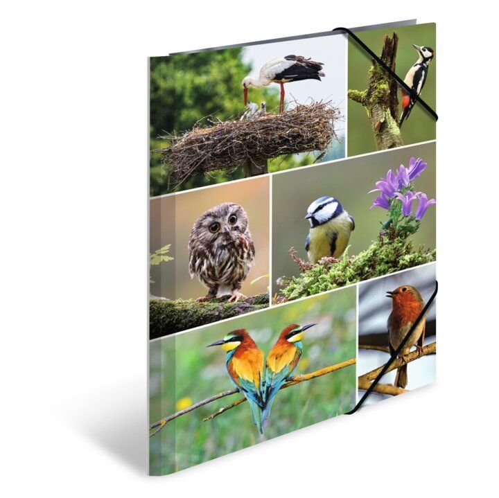 Teczka A4 Z Gumkami, Ptaki