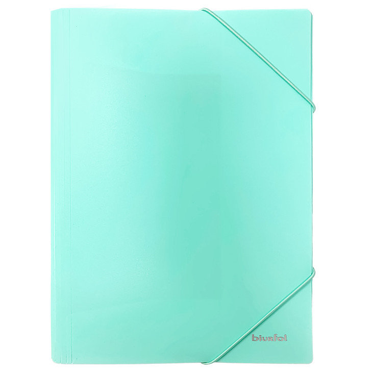 Teczka gumka A4/PP pastel zielona Biurfol