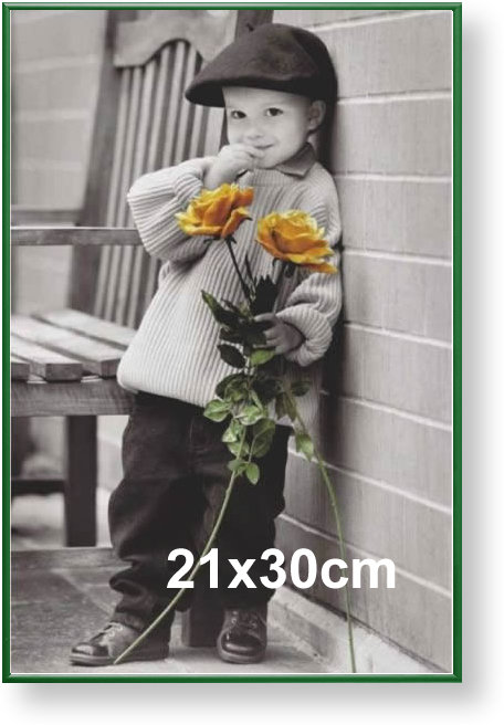 Rama aluminiowa do plakatu 21x30cm, zielona / ARTVIC