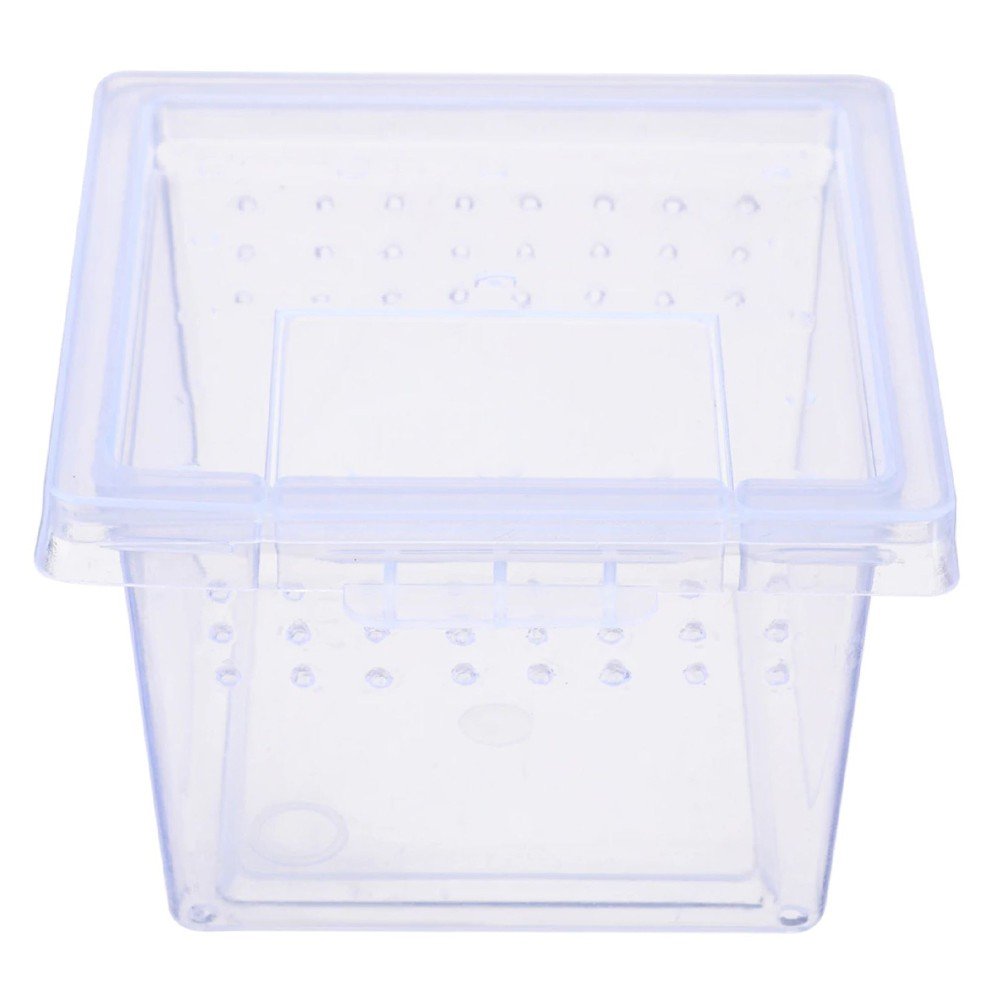 TERRARIO INSECT BOX MINI - PLASTIKOWE TERRARIUM 6,5X6,5X4,5CM
