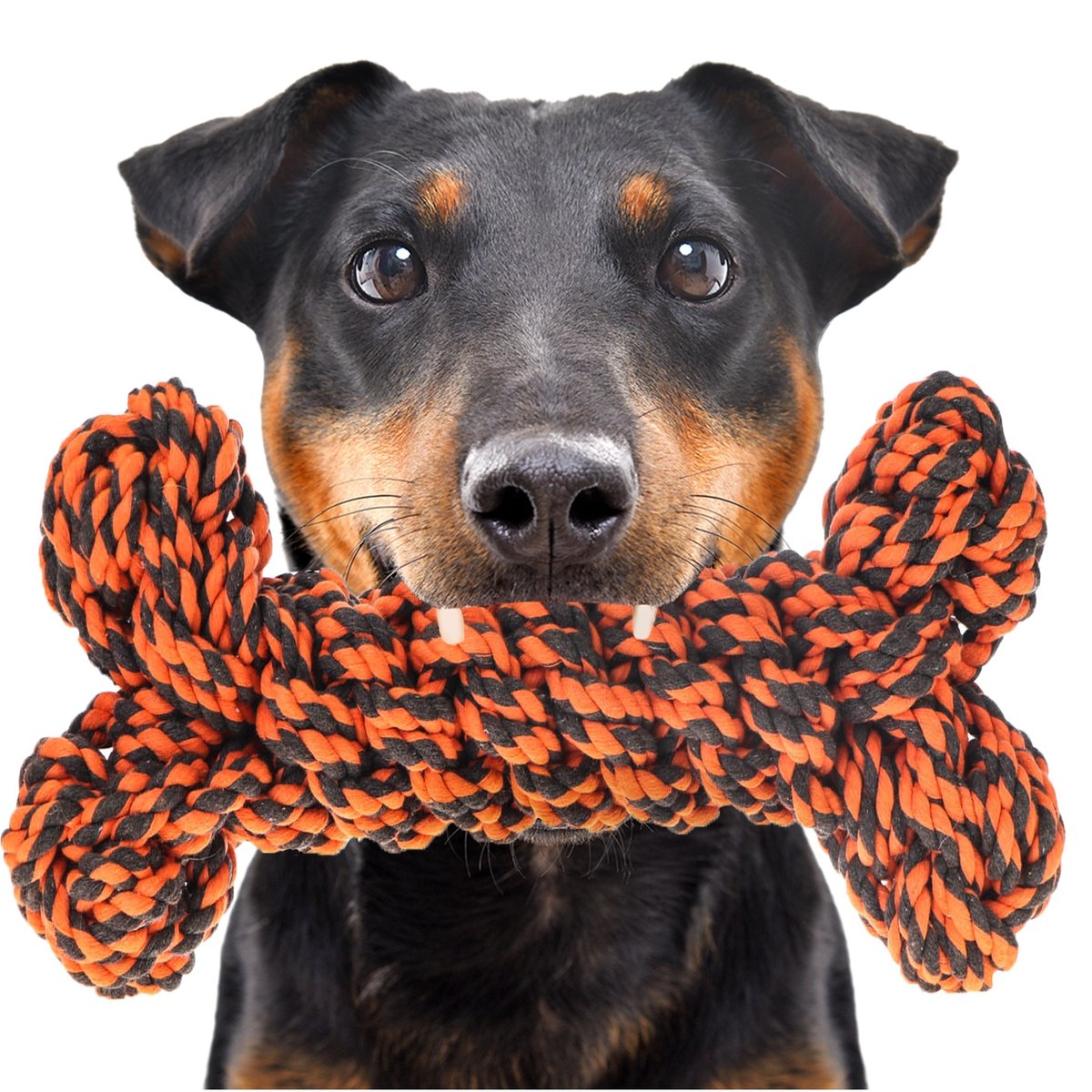 Happypet Knots Extreme Bone - Zabawka Pleciony Sznur