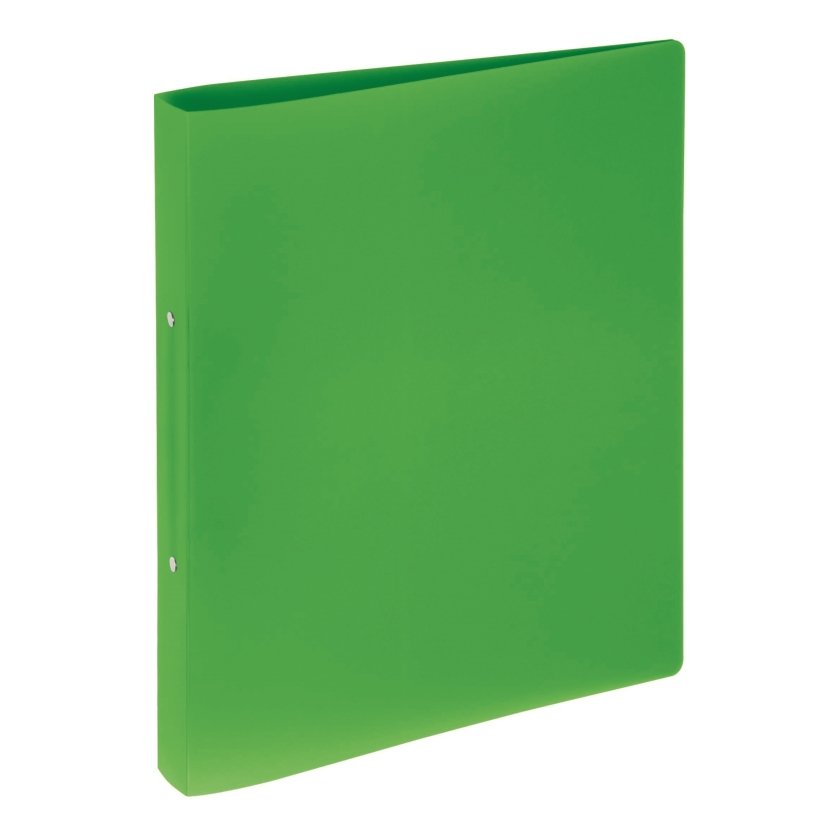 Pagna Segregator Pagna 2-ringowy A4 16cm zielony 20901-05 20901-05