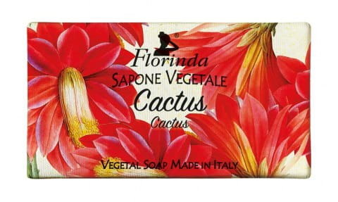 Florinda Florinda Mydło naturalne roślinne KAKTUS 100 g flo-021