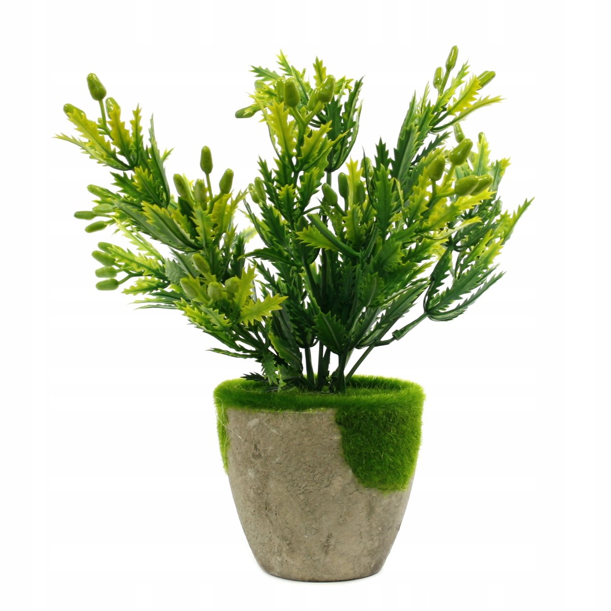 Ozdobna Roślina Kwiat W Doniczce Trawa 21Cm