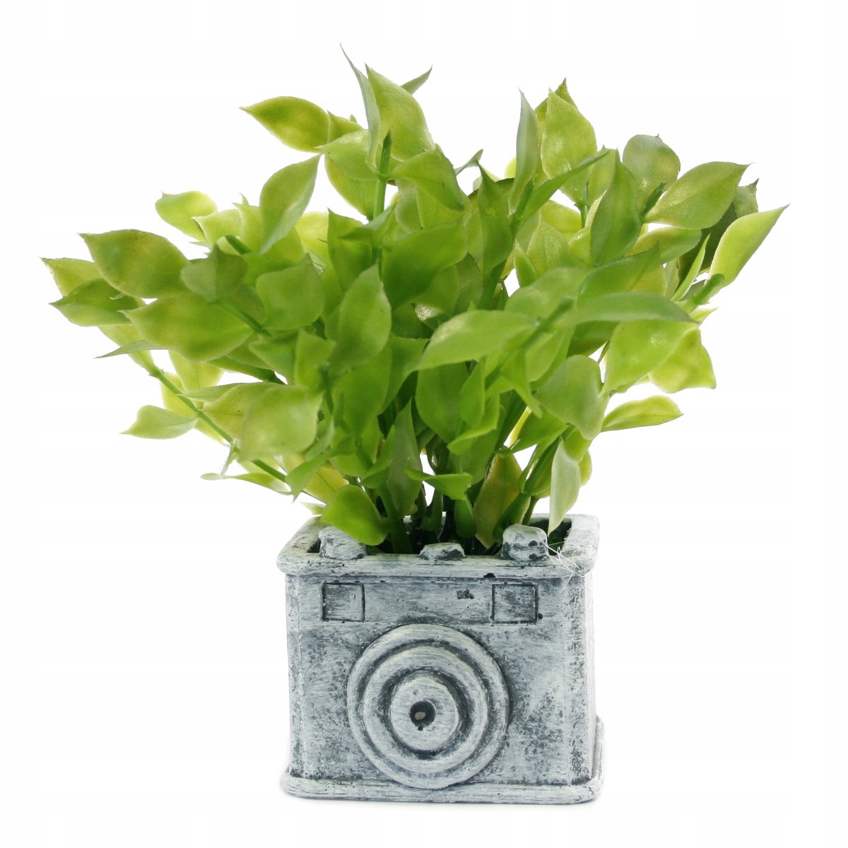 Sztuczne Kwiaty W Kamiennej Doniczce Różne Kolory