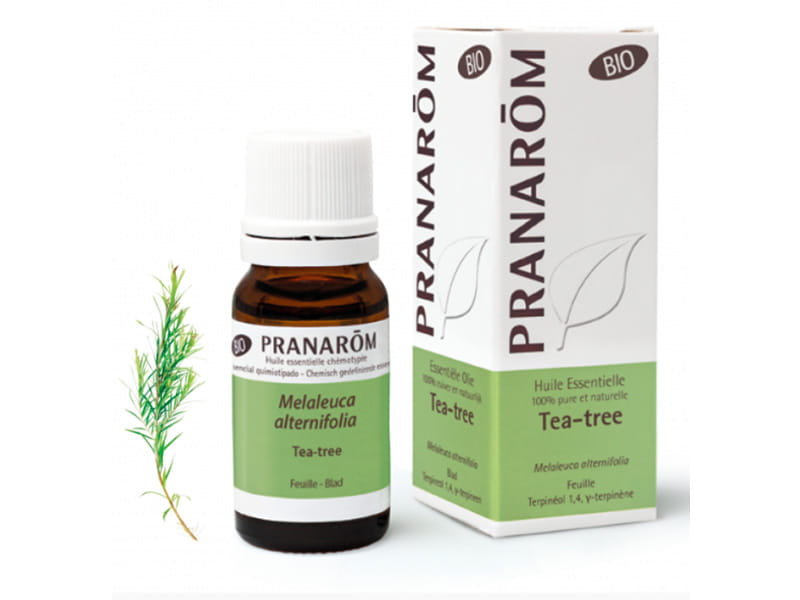 Olejek z drzewa herbacianego bio 10ml pranarôm