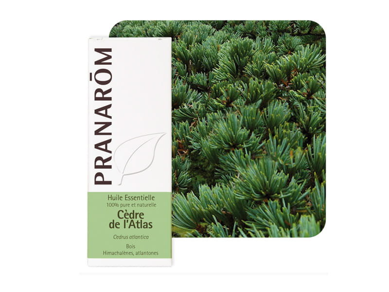 Olejek cedrowy bio 10ml pranarôm