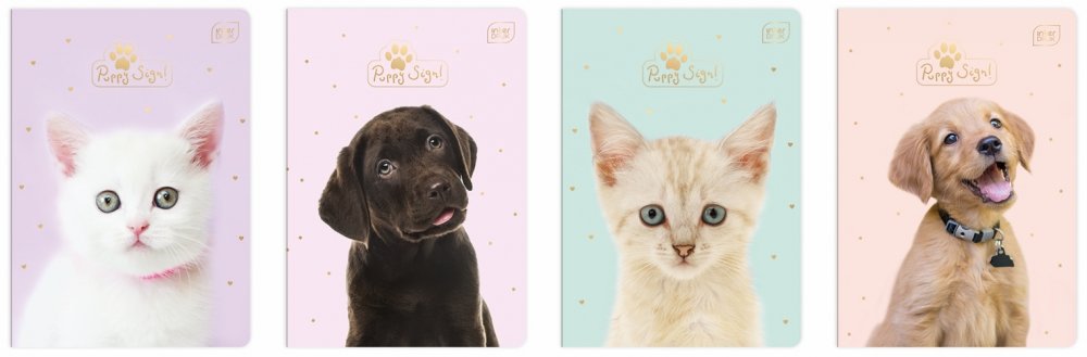 Interdruk Zeszyt A5 MUV Puppy Sign kratka 32 kartki