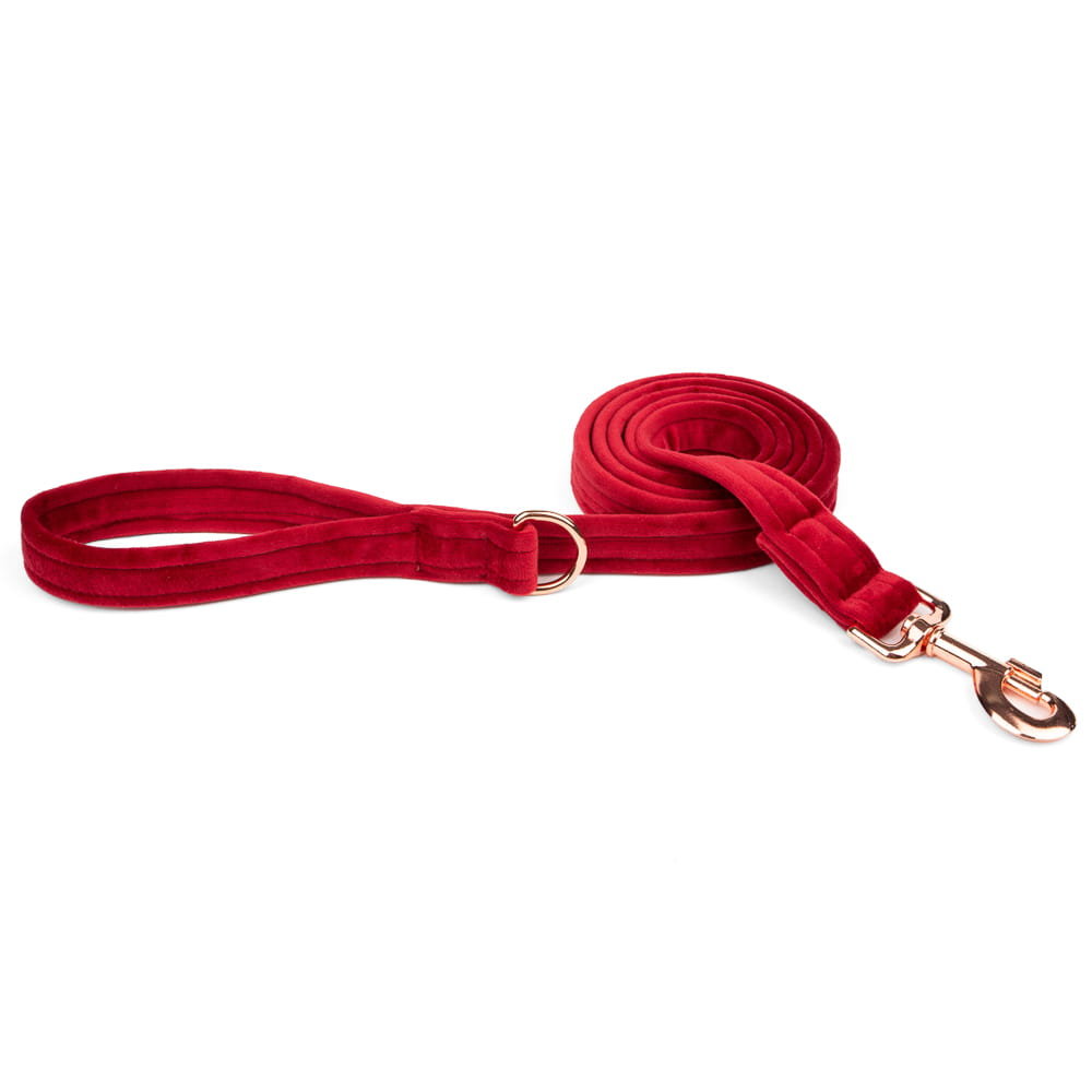 Haas F1 Team Esme for Dog Esme For Dog dla psa welurowa cherry 150cm/2cm