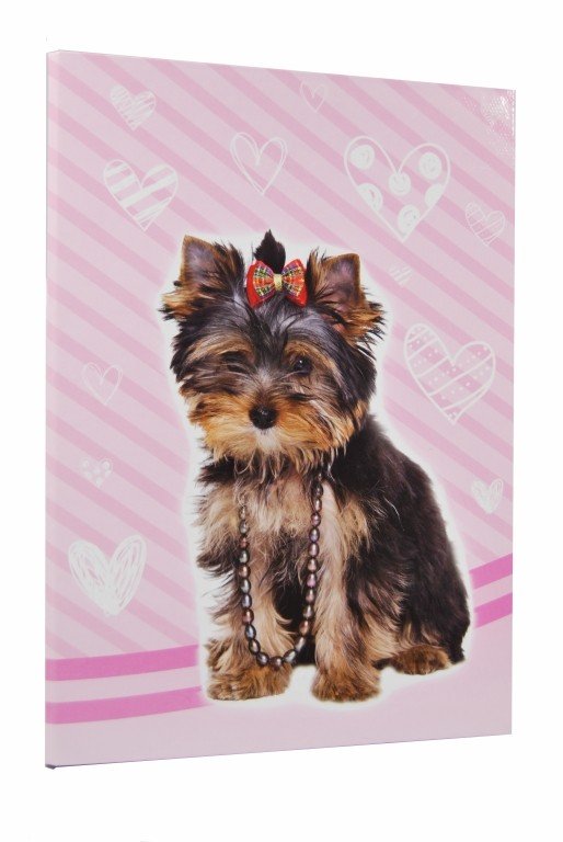 Teczka skrzydłowa gumka z nadrukiem 3.5cm gumkę