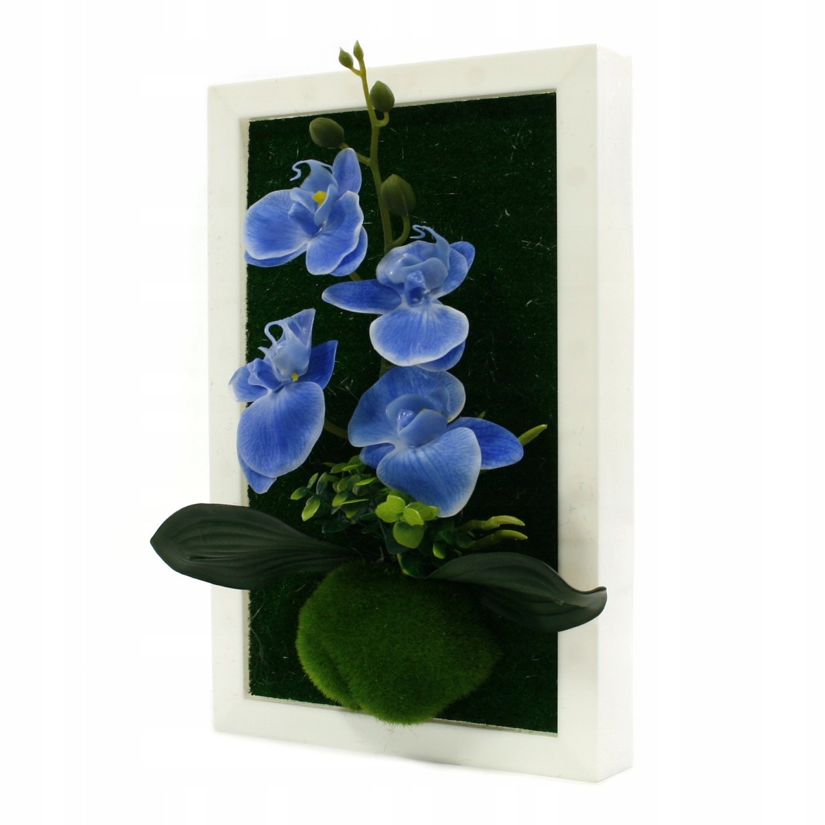 Storczyk w ramce obraz 3d 20x30cm różne kolory