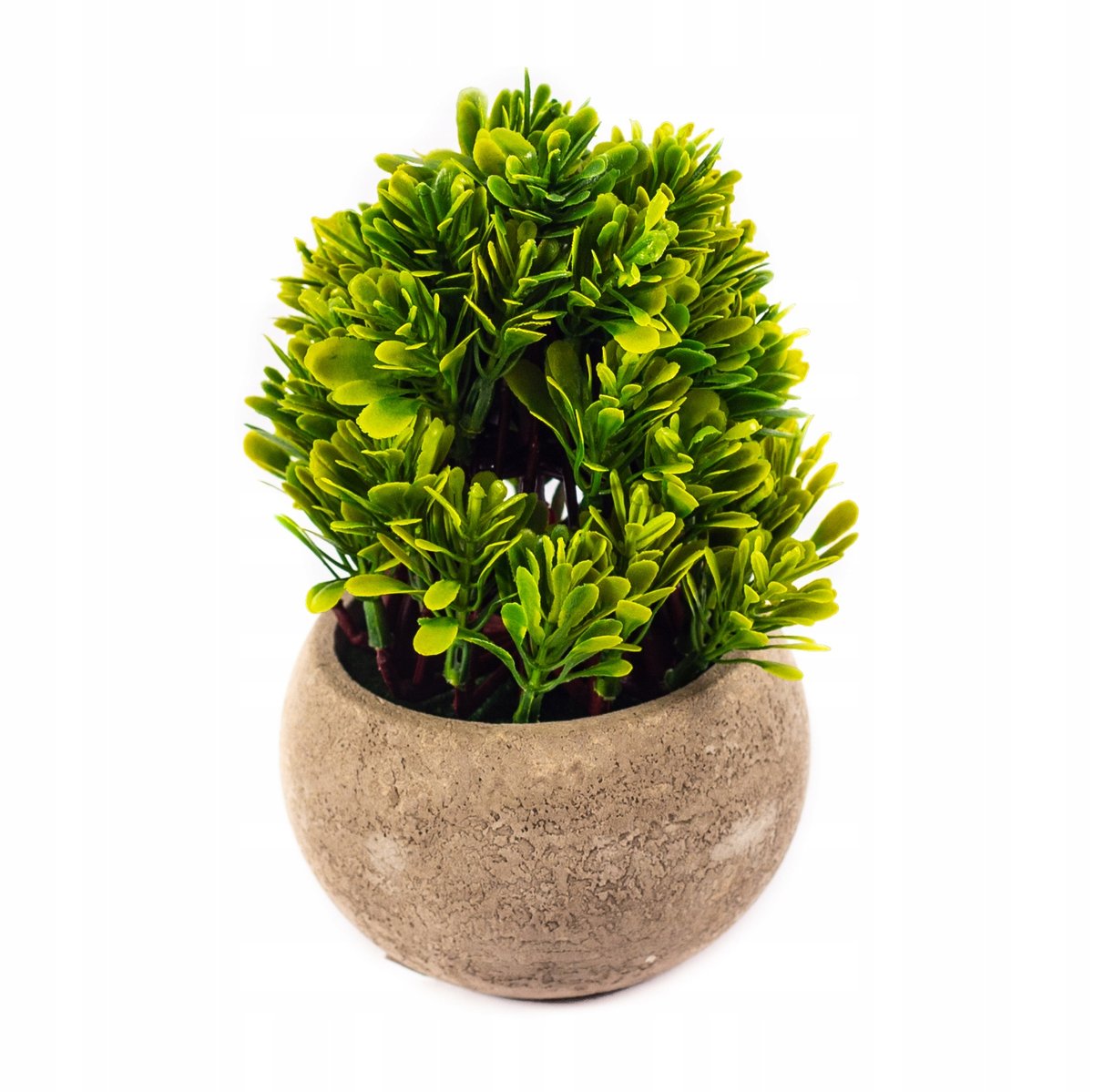 Ozdobna roślina w doniczce mini krzaczek 16cm