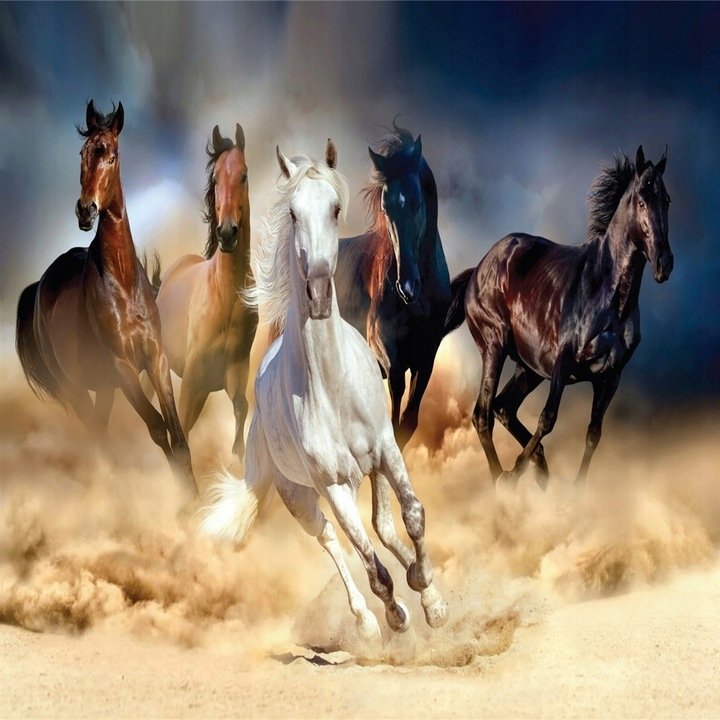 Diamond Painting Haft Diamentowy Mozaika Zestaw 5D