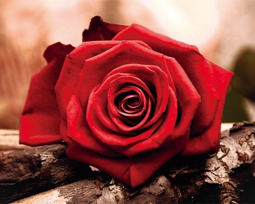 Diamond Painting Haft Diamentowy Mozaika Zestaw 5D