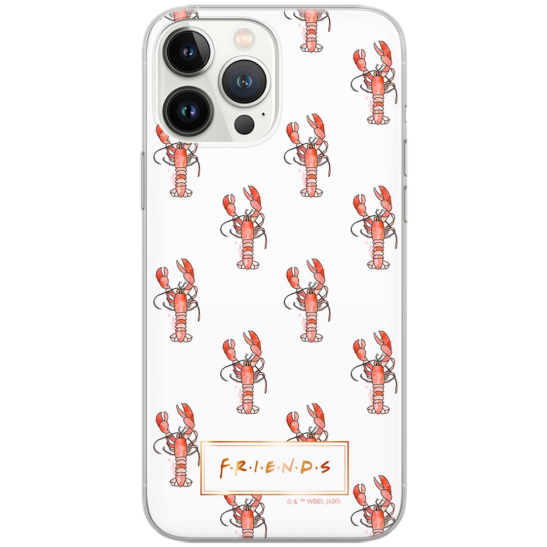 Etui Friends dedykowane do Xiaomi REDMI NOTE 10/ 10S, wzór: Friends 010 Etui całkowicie zadrukowane, oryginalne i oficjalnie licencjonowane