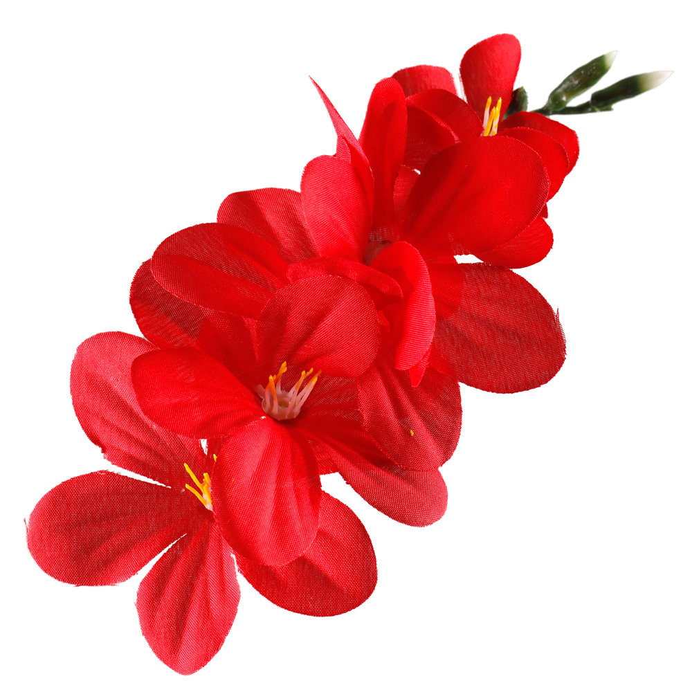 Kwiatostan Frezji Ozdobny Czerwony