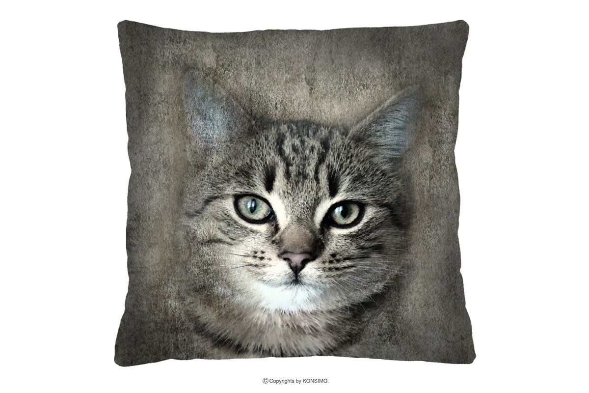 Poduszka z kotem 40x40 ATTELA