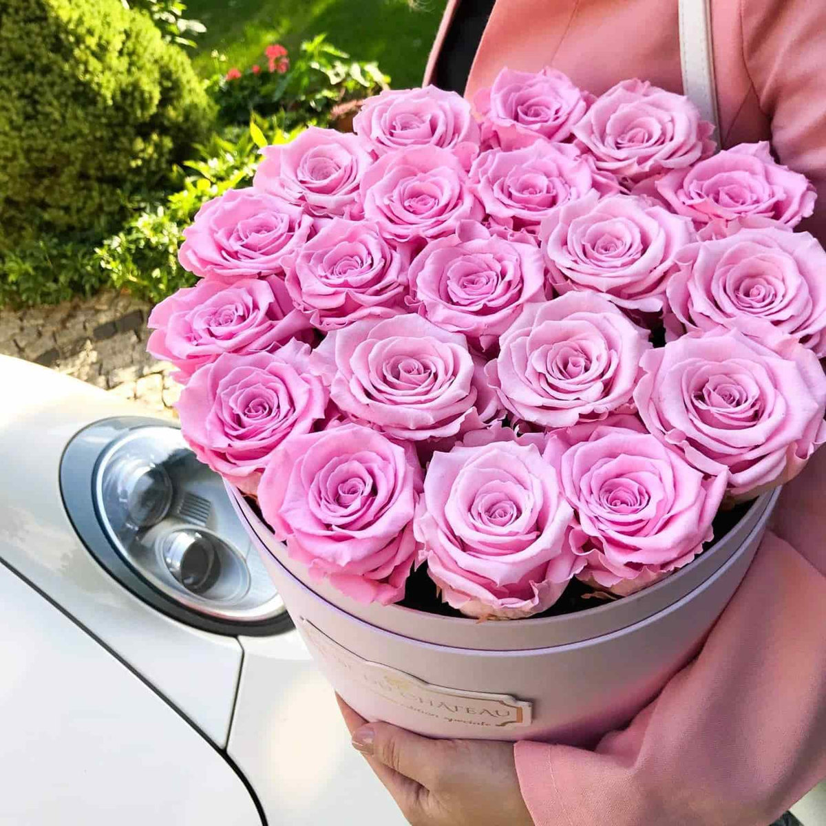 Bladoróżowe Wieczne Róże Różowy Flowerbox