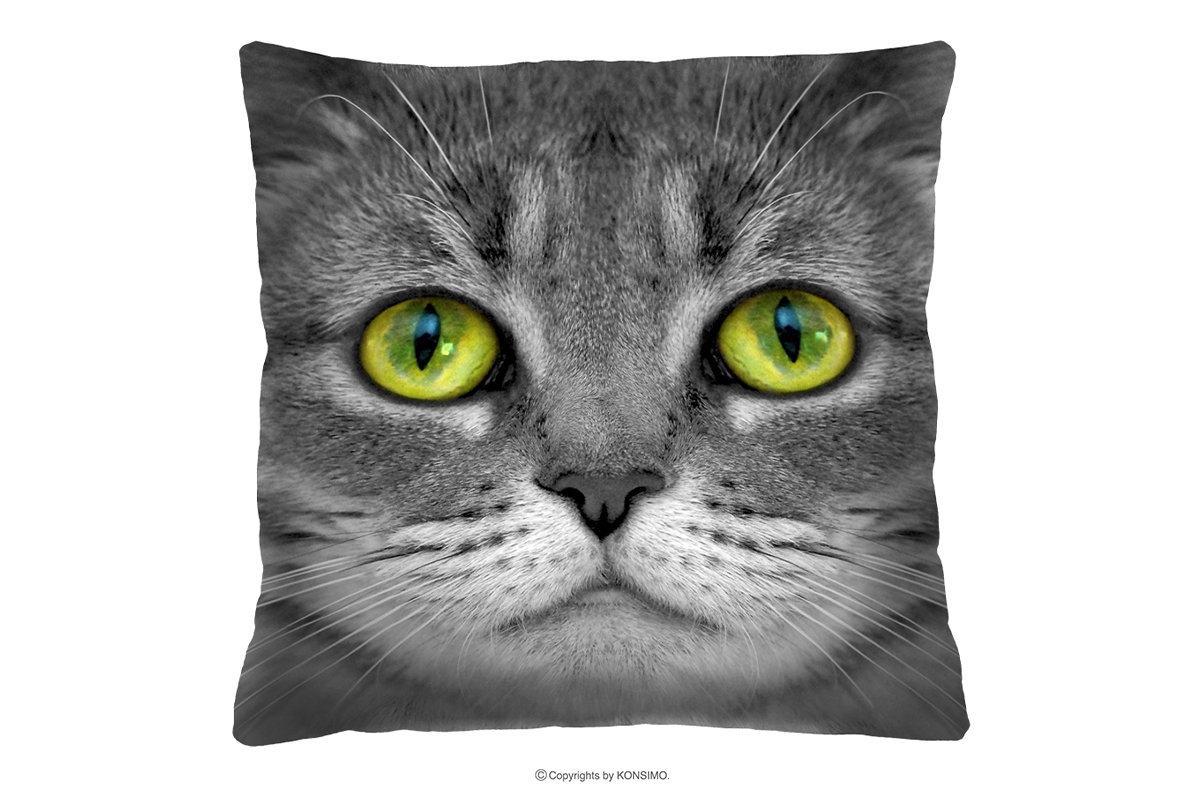 Poduszka z kotem ATTELA