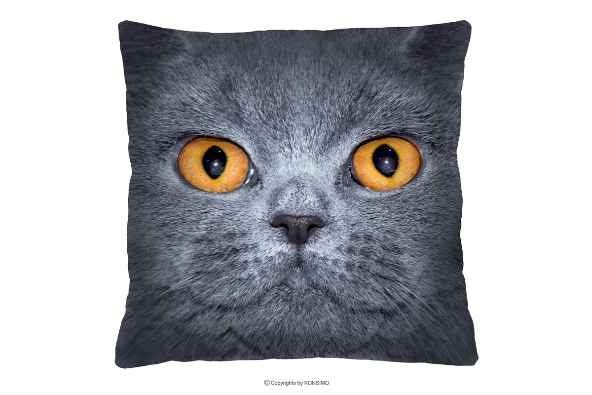Poduszka ze zdjęciem kota ATTELA