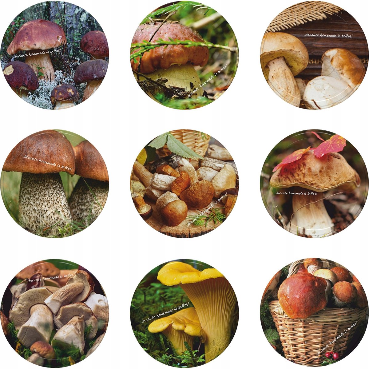 Browin Zakrętka fi66 grzyby 2 - 10szt.