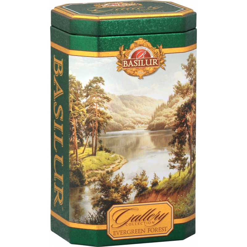 GALLERY - EVERGREEN FOREST - puszka 100 g