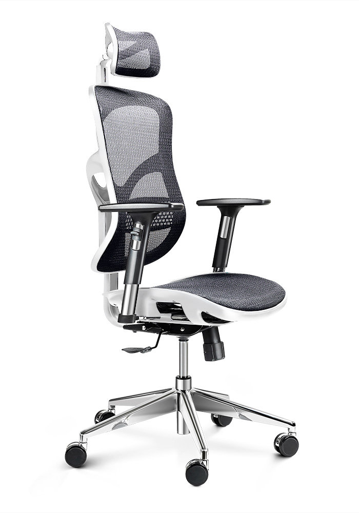 Diablo V-Basic ergonomiczne, krzesło biurowe, komfors tuhl, aktywnie oddychający sieci wybór materiału, z regulowaną podłokietniki, z regulacją wysokości, koloru
