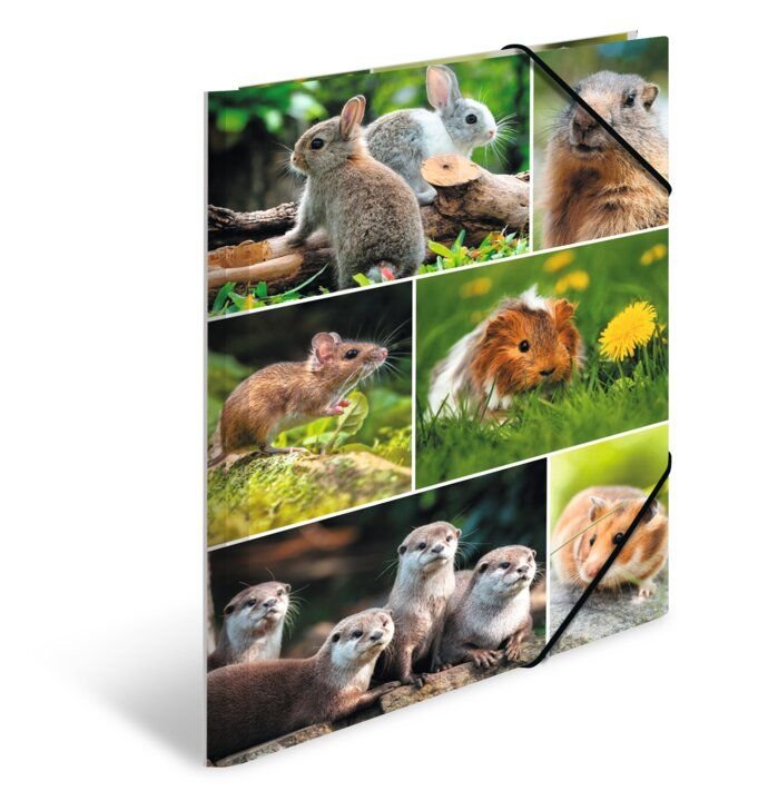 Teczka A3 z gumkami, Gryzonie