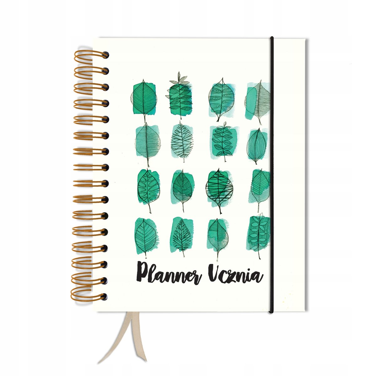 Kalendarz tygodniowy, A5, Uczniowski, Bez dat, Różnokolorowy